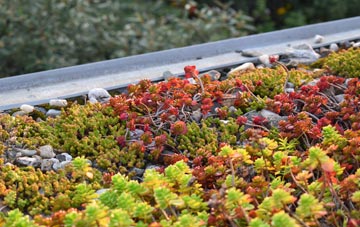 the cost of Newchurch green roof installation