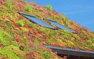 Newchurch living roof systems