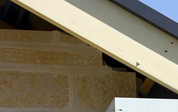 soffit repair Newchurch